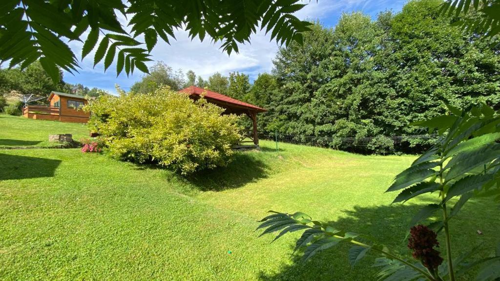 Agroturystyka Jelenia Wisła Extérieur photo